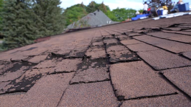 Best Steel Roofing  in Westlake Corner, VA