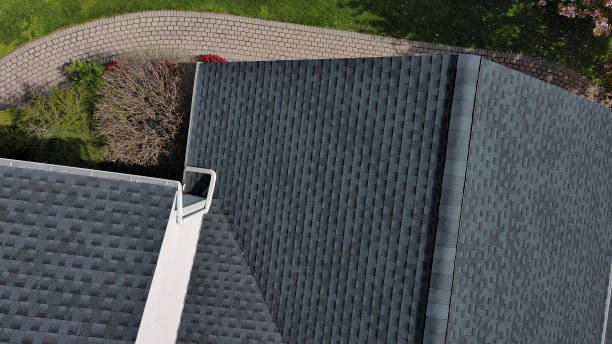 Best Roof Moss and Algae Removal  in Westlake Corner, VA
